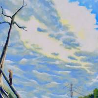 dreamlike clouds over fallen tree in a field